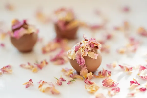 Bet9 Kasino Android/iOS Sovellus